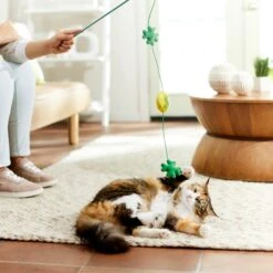 Frisco St. Patrick's Shamrock Teaser Wand Cat Toy With Catnip 8 Frisco St. Patrick's Shamrock Teaser Wand Cat Toy With Catnip -Chewy 303108 PT3. AC SS1800 V1641230422