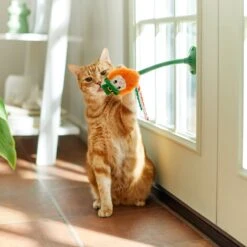 Frisco St. Patrick's Leprechaun Suction Cup Teaser Cat Toy With Catnip 9 Frisco St. Patrick's Leprechaun Suction Cup Teaser Cat Toy With Catnip -Chewy 303110 PT3. AC SS1800 V1641230446