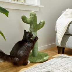 Frisco Cactus Cat Scratching Post & Frisco Dangly Avocado Buddy Plush Cat Toy With Catnip 12 Frisco Cactus Cat Scratching Post & Frisco Dangly Avocado Buddy Plush Cat Toy With Catnip -Chewy 303380 PT3. AC SS1800 V1623081149