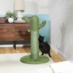 Frisco Cactus Cat Scratching Post & Frisco Taco Plush Cat Toy With Catnip 11 Frisco Cactus Cat Scratching Post & Frisco Taco Plush Cat Toy With Catnip -Chewy 303382 PT3. AC SS1800 V1623071255