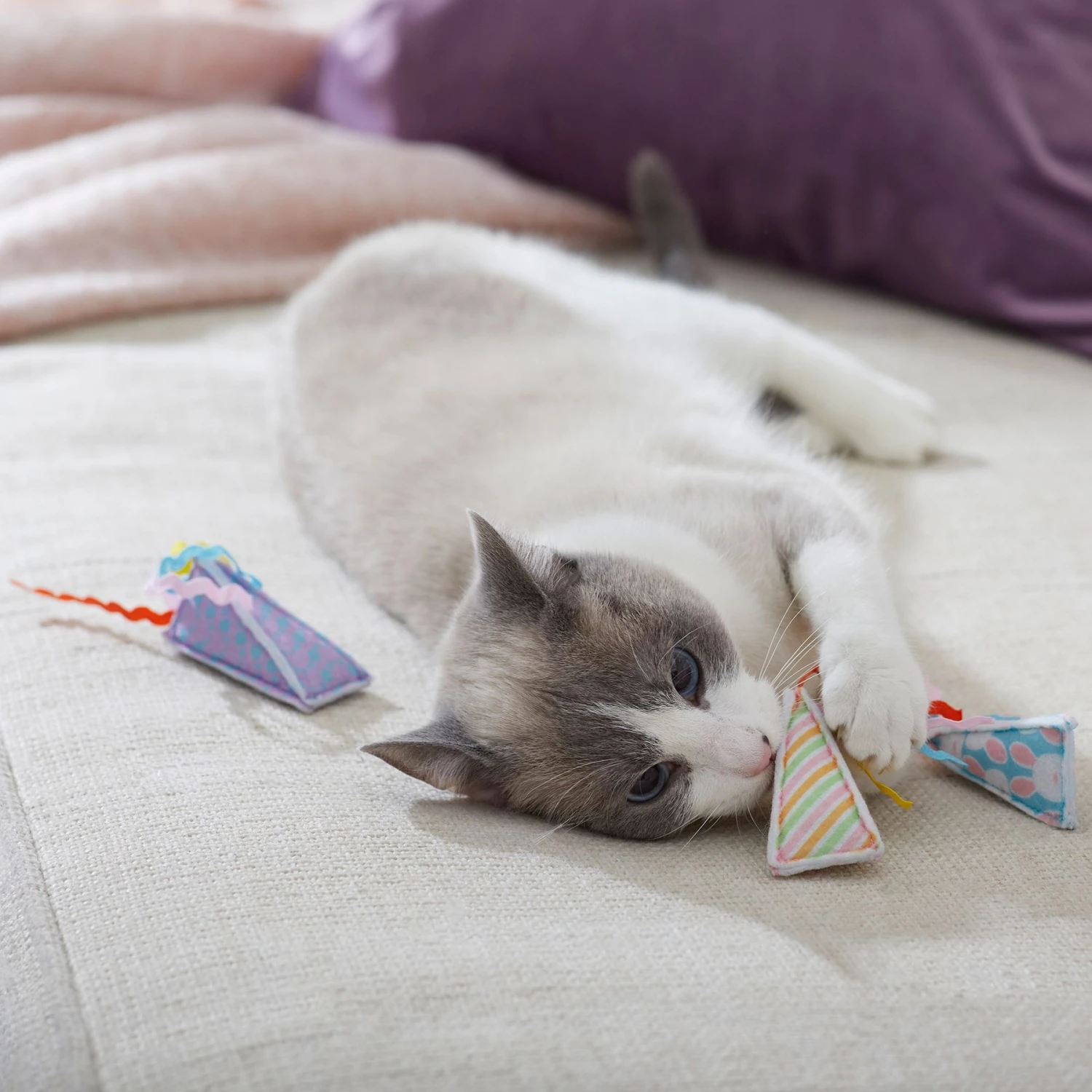 Frisco Spring Party Hat Kickers Cat Toy With Catnip 5 Frisco Spring Party Hat Kickers Cat Toy With Catnip - Image 3