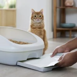 Frisco Cat Litter Pads, Scented 14 Frisco Cat Litter Pads, Scented -Chewy 309828 PT5. AC SS1800 V1675280050