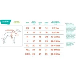 Frisco Pineapple Guy Dog & Cat T-Shirt 9 Frisco Pineapple Guy Dog & Cat T-Shirt -Chewy 312040 PT1. AC SS1800 V1644464820