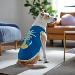 Frisco Pineapple Guy Dog & Cat T-Shirt 13 Frisco Pineapple Guy Dog & Cat T-Shirt -Chewy 312040 PT8. AC SS1800 V1644466024