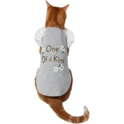 Frisco One Of A Kind Dog & Cat T-Shirt 11 Frisco One Of A Kind Dog & Cat T-Shirt -Chewy 312080 PT2. AC SS1800 V1644424427
