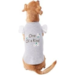 Frisco One Of A Kind Dog & Cat T-Shirt 12 Frisco One Of A Kind Dog & Cat T-Shirt -Chewy 312080 PT3. AC SS1800 V1673303002