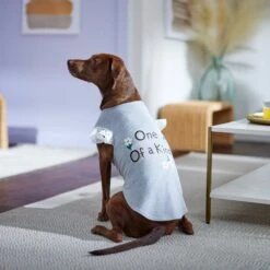 Frisco One Of A Kind Dog & Cat T-Shirt 14 Frisco One Of A Kind Dog & Cat T-Shirt -Chewy 312080 PT5. AC SS1800 V1673304060