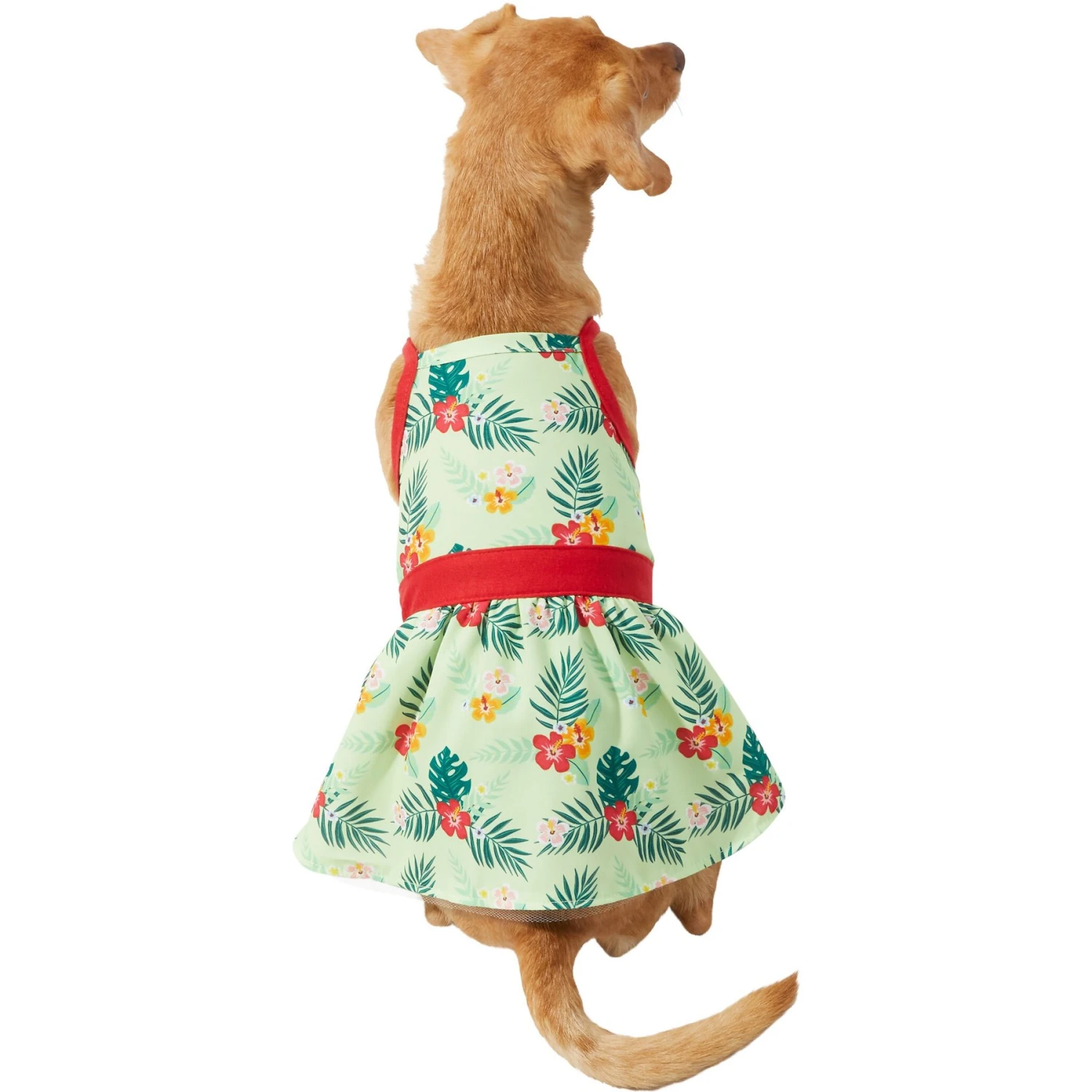 Frisco Hawaiian Floral Dog & Cat Dress 3 Frisco Hawaiian Floral Dog & Cat Dress