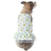 Frisco Sunflower Gingham Dog & Cat Dress 1 Frisco Sunflower Gingham Dog & Cat Dress -Chewy 312120 MAIN. AC SS1800 V1644423431