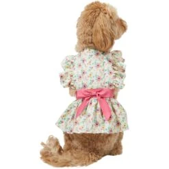 Frisco Dainty Pink Floral Dog & Cat Dress 11 Frisco Dainty Pink Floral Dog & Cat Dress -Chewy 312136 PT2. AC SS1800 V1703872208
