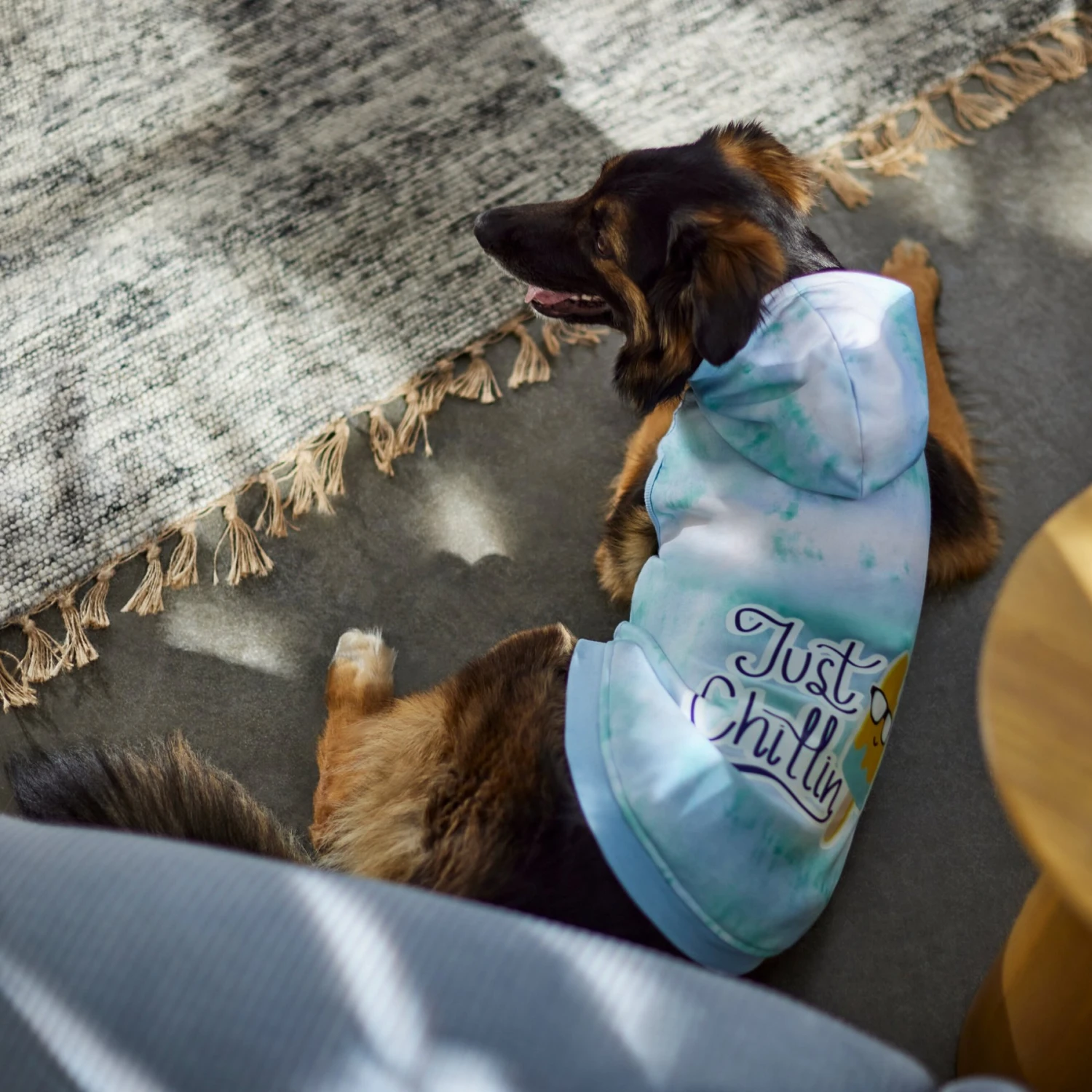 Frisco Just Chillin Dog & Cat Hoodie 9 Frisco Just Chillin Dog & Cat Hoodie - Image 7