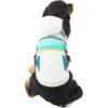 Frisco Striped Dog & Cat Hoodie 2 Frisco Striped Dog & Cat Hoodie -Chewy 312265 MAIN. AC SS1800 V1644880439