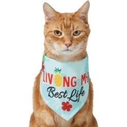 Frisco Living My Best Life Dog & Cat Bandana 11 Frisco Living My Best Life Dog & Cat Bandana -Chewy 312288 PT2. AC SS1800 V1644884916