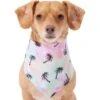 Frisco Palm Tree Dog & Cat Bandana 2 Frisco Palm Tree Dog & Cat Bandana -Chewy 312291 MAIN. AC SS1800 V1644885149