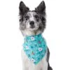 Frisco Spring Floral Dog & Cat Bandana 1 Frisco Spring Floral Dog & Cat Bandana -Chewy 312294 MAIN. AC SS1800 V1644879397