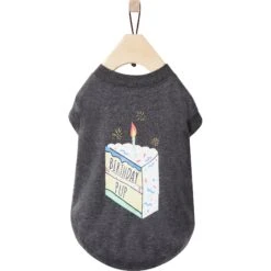 Frisco Birthday Pup Dog & Cat T-Shirt 11 Frisco Birthday Pup Dog & Cat T-Shirt -Chewy 315076 PT4. AC SS1800 V1646435653