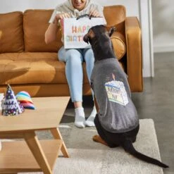 Frisco Birthday Pup Dog & Cat T-Shirt 13 Frisco Birthday Pup Dog & Cat T-Shirt -Chewy 315076 PT8. AC SS1800 V1646438210