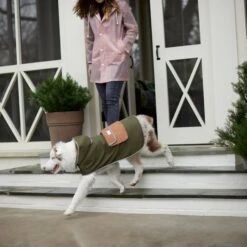 Frisco Lightweight Olive Reversible Packable Dog Raincoat -Chewy 315116 PT8. AC SS1800 V1646435907