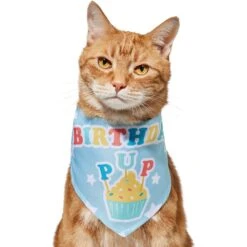 Frisco Birthday Pup Dog & Cat Bandana -Chewy 315130 PT2. AC SS1800 V1646437964