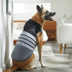 Frisco Gray Striped Dog & Cat Hoodie 15 Frisco Gray Striped Dog & Cat Hoodie -Chewy 317305 PT8. AC SS1800 V1646437959