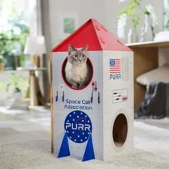 Frisco Spaceship Cardboard Cat House, 2-Story 12 Frisco Spaceship Cardboard Cat House, 2-Story -Chewy 317721 PT4. AC SS1800 V1688677264