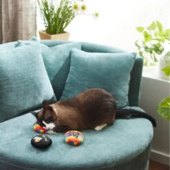 Frisco Pride Buttons Plush Cat Toy With Catnip, 3 Count 7 Frisco Pride Buttons Plush Cat Toy With Catnip, 3 Count -Chewy 331688 PT3. AC SS1800 V1647355746