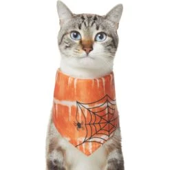 Frisco Orange Spiderweb Dog & Cat Costume Bandana 12 Frisco Orange Spiderweb Dog & Cat Costume Bandana -Chewy 335046 PT2. AC SS1800 V1658716498