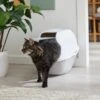 Frisco Modern Hooded Cat Litter Box -Chewy 341985 MAIN. AC SS1800 V1642605052