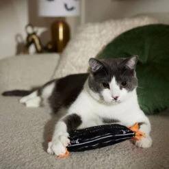 Frisco Halloween A-Paw-Thecary Kicker Plush Cat Toy With Catnip 8 Frisco Halloween A-Paw-Thecary Kicker Plush Cat Toy With Catnip -Chewy 344000 PT3. AC SS1800 V1657657029