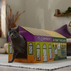 Frisco Halloween A-Paw-Thecary & Chop House Cardboard Cat House With Catnip 10 Frisco Halloween A-Paw-Thecary & Chop House Cardboard Cat House With Catnip -Chewy 344002 PT3. AC SS1800 V1657657029