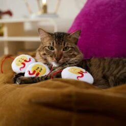 Frisco Halloween Haunted Deviled Eggs Plush Cat Toy With Catnip 8 Frisco Halloween Haunted Deviled Eggs Plush Cat Toy With Catnip -Chewy 344058 PT3. AC SS1800 V1657657030