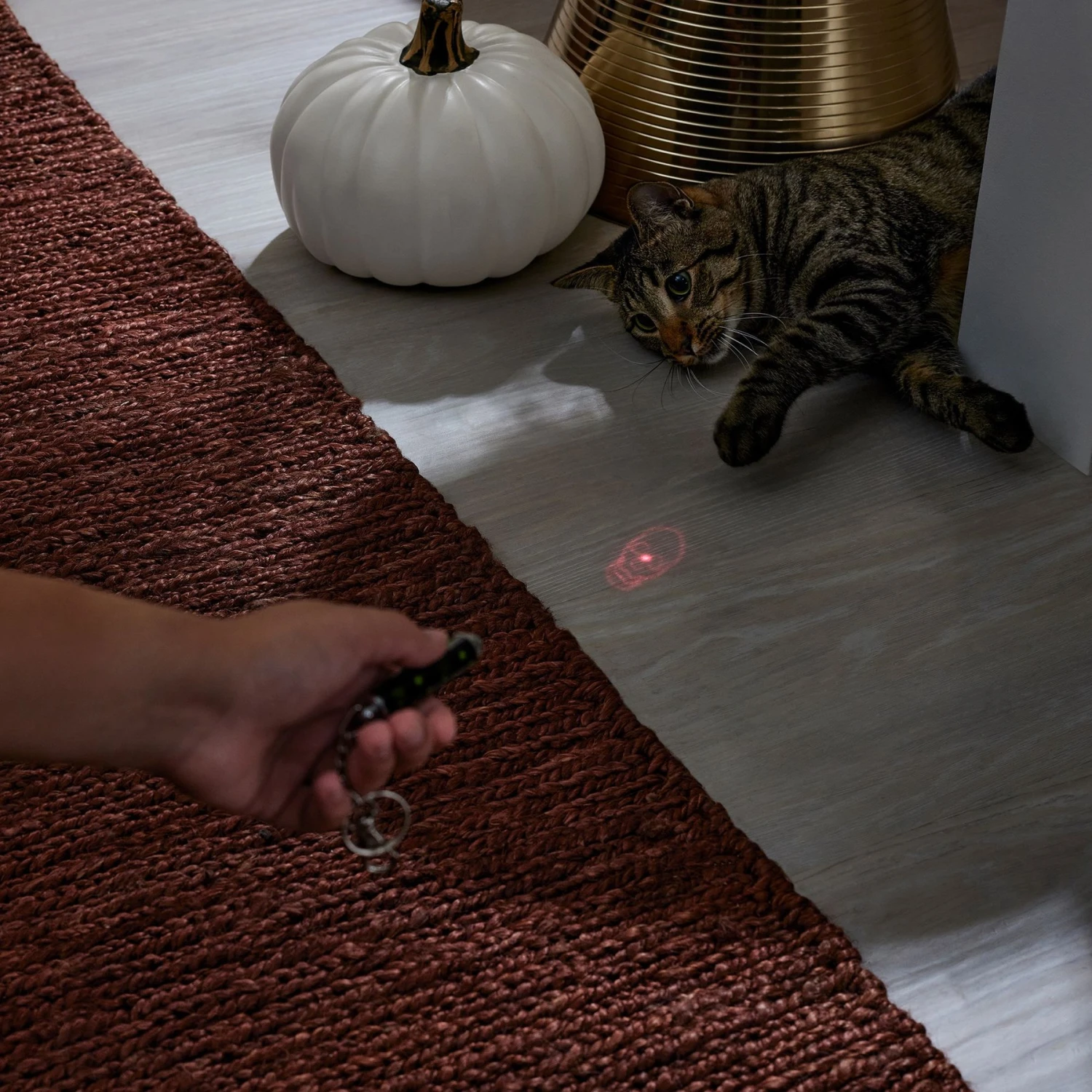 Frisco Halloween Skull Laser Cat Toy 6 Frisco Halloween Skull Laser Cat Toy - Image 4
