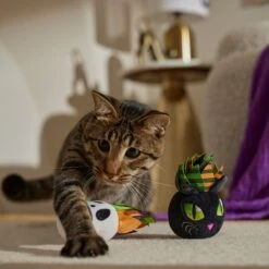Frisco Halloween Succulents Plush Cat Toy With Catnip, 2 Count -Chewy 344082 PT3. AC SS1800 V1657657035