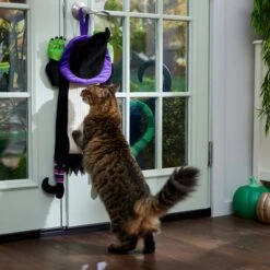 Frisco Halloween Witch Doorknob Hanger Cat Toy With Catnip 10 Frisco Halloween Witch Doorknob Hanger Cat Toy With Catnip -Chewy 344092 PT3. AC SS1800 V1657657035