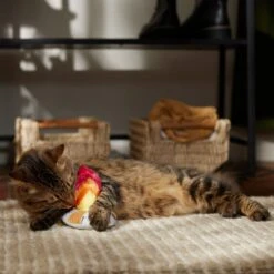 Frisco Fall Campfire Plush Cat Toy With Catnip 8 Frisco Fall Campfire Plush Cat Toy With Catnip -Chewy 344178 PT3. AC SS1800 V1659023182