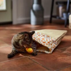 Frisco Fall Leaf Cat Sack Cat Toy With Catnip 10 Frisco Fall Leaf Cat Sack Cat Toy With Catnip -Chewy 344184 PT3. AC SS1800 V1659023183
