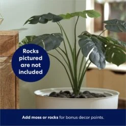 Frisco Hidden Planter Cat Litter Box, 16-in 12 Frisco Hidden Planter Cat Litter Box, 16-in -Chewy 345566 PT4. AC SS1800 V1668737273