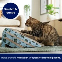 Frisco Nesting Cat Scratcher Toy With Catnip, Tropical Paradise 8 Frisco Nesting Cat Scratcher Toy With Catnip, Tropical Paradise -Chewy 347215 PT3. AC SS1800 V1659699261