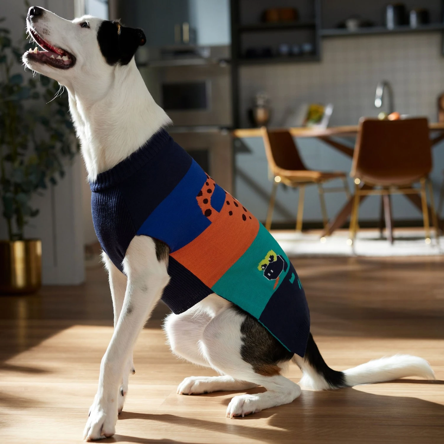 Frisco Anaconda Cheetah Colorblock Dog & Cat Sweater 8 Frisco Anaconda Cheetah Colorblock Dog & Cat Sweater - Image 6