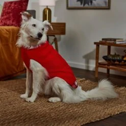 Frisco Plaid Cable Knit Dog & Cat Sweater 14 Frisco Plaid Cable Knit Dog & Cat Sweater -Chewy 353611 PT7. AC SS1800 V1660749926