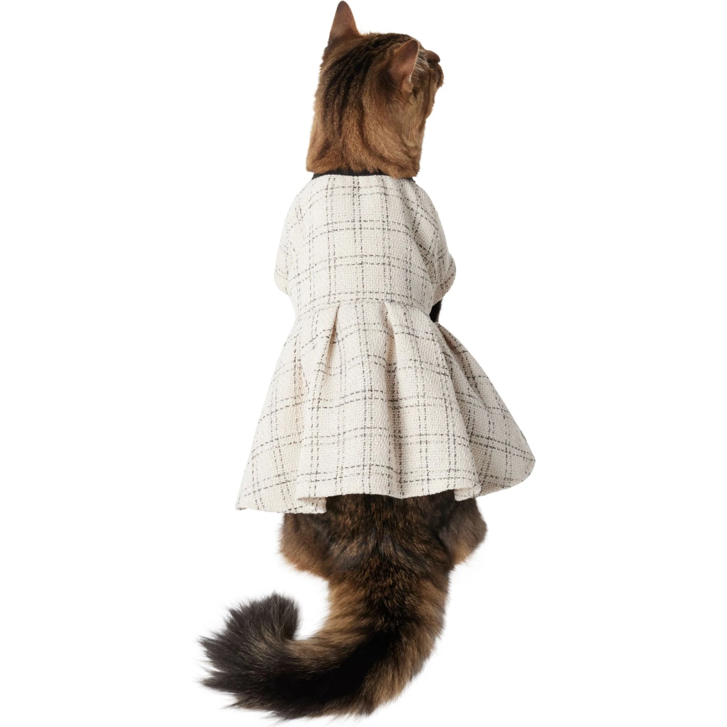 Frisco Tweed Weave Ruffle Skirt Dog & Cat Dress 3 Frisco Tweed Weave Ruffle Skirt Dog & Cat Dress