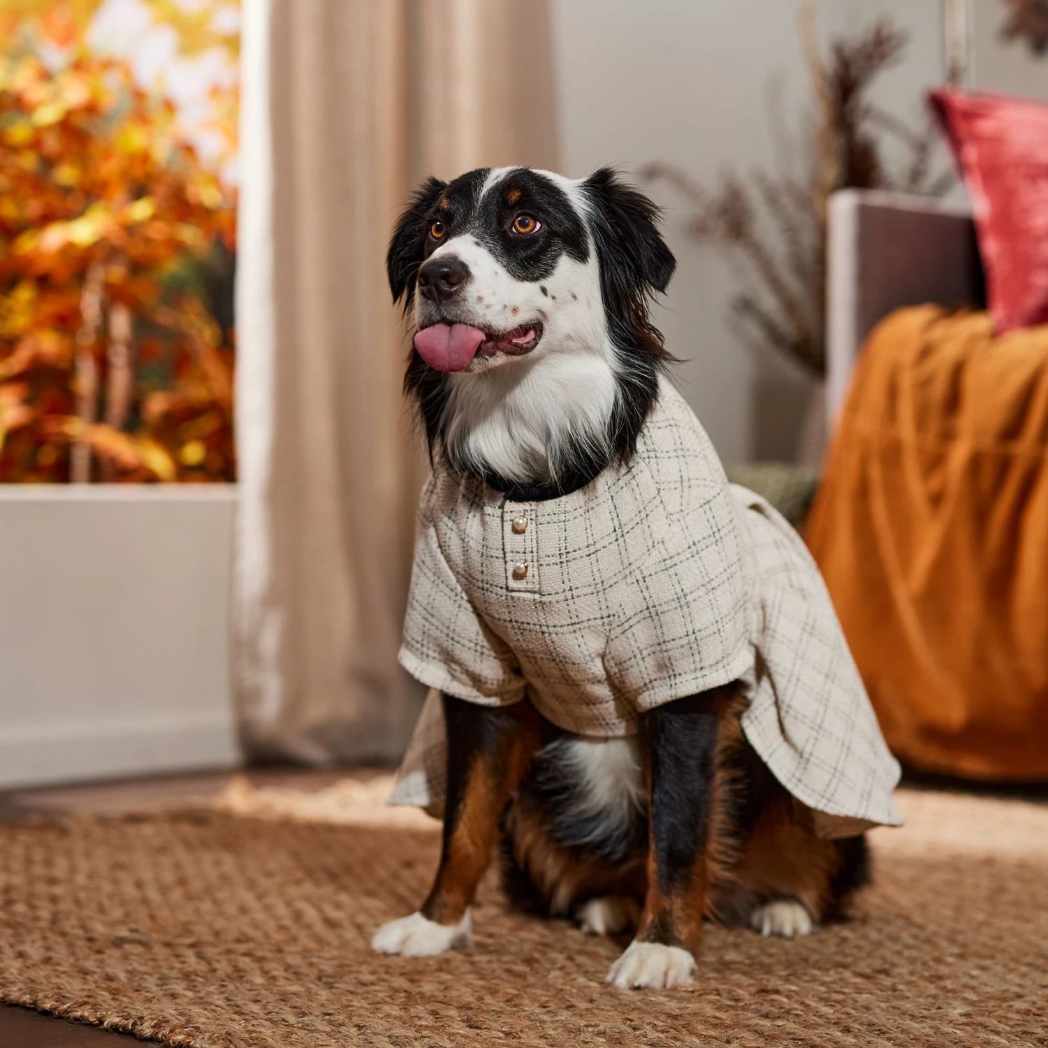 Frisco Tweed Weave Ruffle Skirt Dog & Cat Dress 8 Frisco Tweed Weave Ruffle Skirt Dog & Cat Dress - Image 6