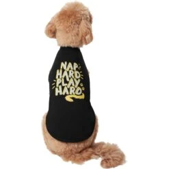 Frisco Nap Hard Play Hard Dog & Cat T-Shirt 11 Frisco Nap Hard Play Hard Dog & Cat T-Shirt -Chewy 353713 PT2. AC SS1800 V1659010872