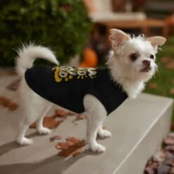 Frisco Nap Hard Play Hard Dog & Cat T-Shirt 14 Frisco Nap Hard Play Hard Dog & Cat T-Shirt -Chewy 353713 PT7. AC SS1800 V1660750172