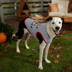 Frisco Little Champ Dog & Cat T-Shirt 14 Frisco Little Champ Dog & Cat T-Shirt -Chewy 353722 PT7. AC SS1800 V1660749632