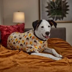 Frisco Hedgehog Dog & Cat Fleece Pajamas 14 Frisco Hedgehog Dog & Cat Fleece Pajamas -Chewy 353730 PT6. AC SS1800 V1660749991