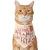 Frisco Cutest Pumpkin In The Patch Dog & Cat Bandana 2 Frisco Cutest Pumpkin In The Patch Dog & Cat Bandana -Chewy 353777 MAIN. AC SS1800 V1659010811