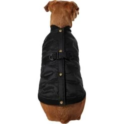 Frisco Lightweight Belted Puffer Dog & Cat Jacket 11 Frisco Lightweight Belted Puffer Dog & Cat Jacket -Chewy 353825 PT2. AC SS1800 V1659010815