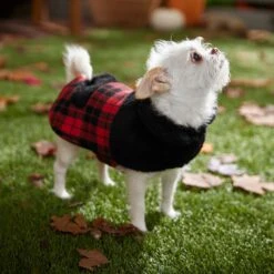 Frisco Mediumweight Plaid Faux Fur Dog & Cat Jacket -Chewy 353847 PT7. AC SS1800 V1661274842