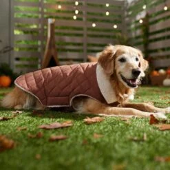 Frisco Mid-Heavyweight Fleece Lined Quilted Dog & Cat Coat -Chewy 353877 PT7. AC SS1800 V1660750171